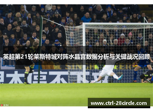 英超第21轮莱斯特城对阵水晶宫数据分析与关键战况回顾 英超第21轮莱斯特城对阵水晶宫数据分析与关键战况回顾