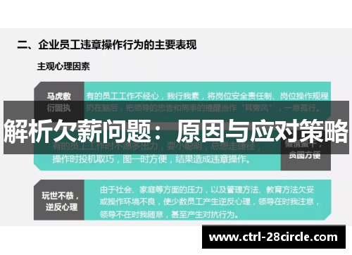 解析欠薪问题：原因与应对策略