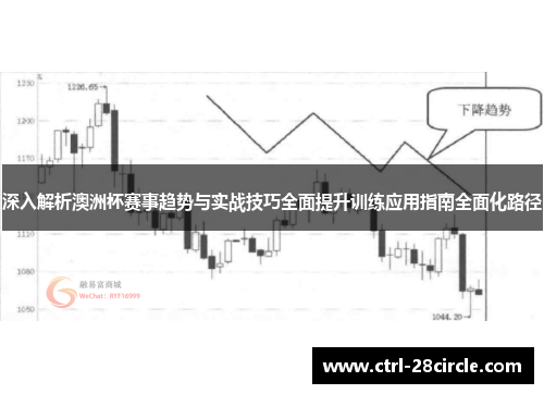 深入解析澳洲杯赛事趋势与实战技巧全面提升训练应用指南全面化路径
