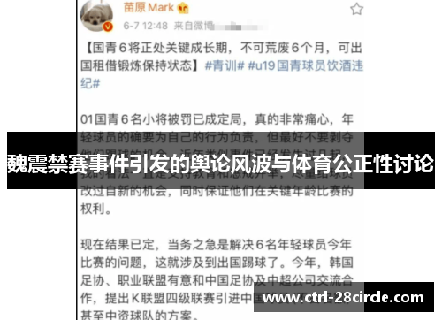 魏震禁赛事件引发的舆论风波与体育公正性讨论 魏震禁赛事件引发的舆论风波与体育公正性讨论