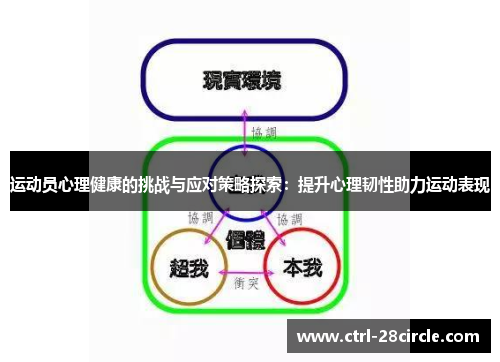 运动员心理健康的挑战与应对策略探索:提升心理韧性助力运动表现 运动员心理健康的挑战与应对策略探索:提升心理韧性助力运动表现