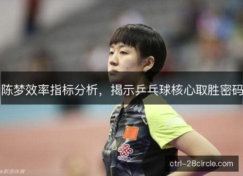 陈梦效率指标分析，揭示乒乓球核心取胜密码
